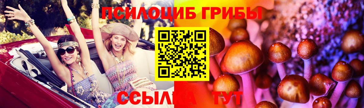 Галлюциногенные грибы прущие грибы  Галлюциногенные грибы Psilocybine cubensis  Вход с VPN  Каменск-Шахтинский 